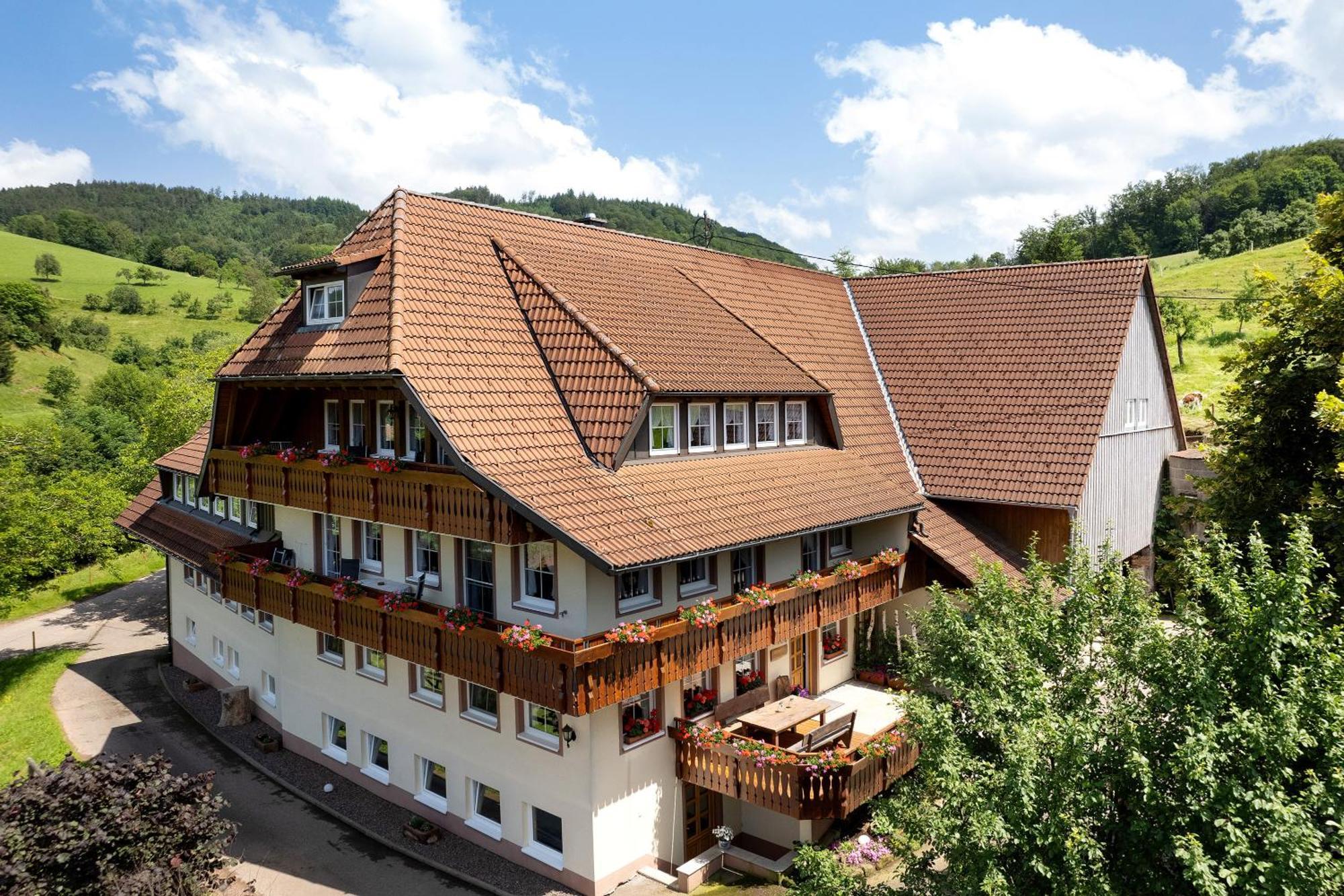 Danielenhof Apartamento Freiamt Exterior foto