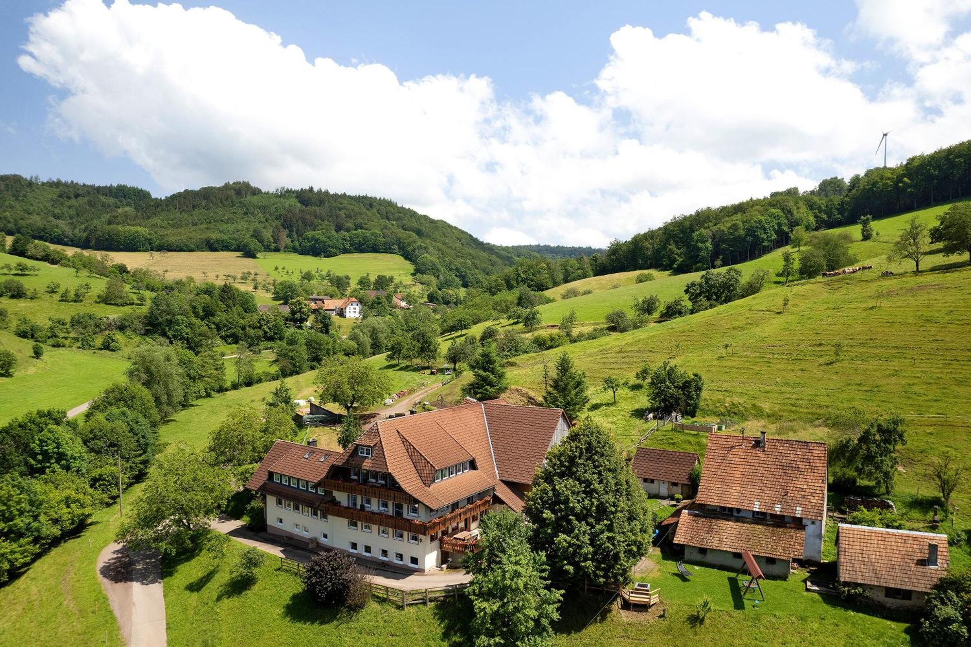Danielenhof Apartamento Freiamt Exterior foto