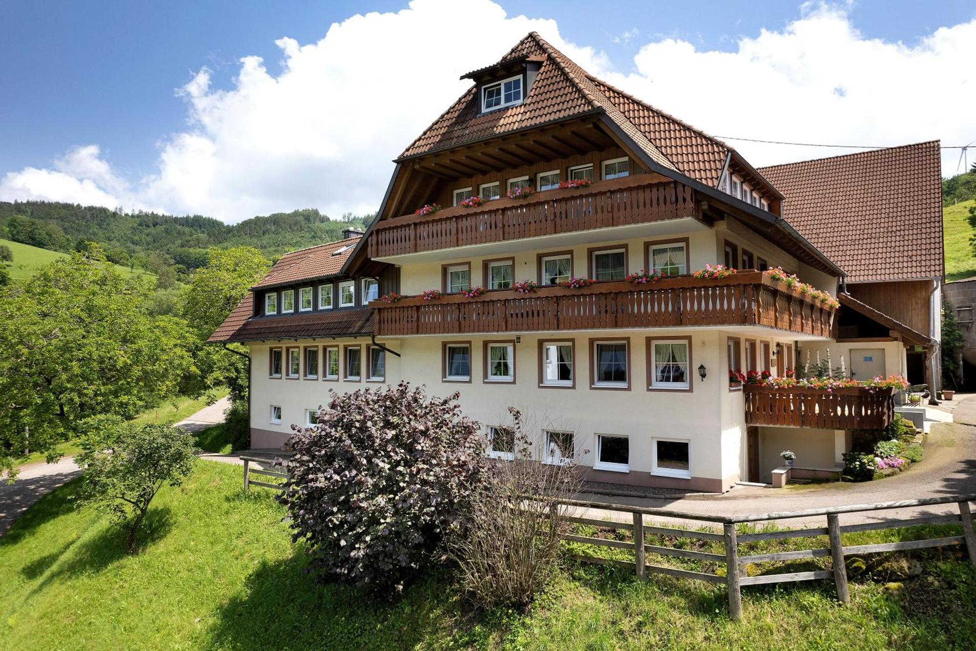 Danielenhof Apartamento Freiamt Exterior foto